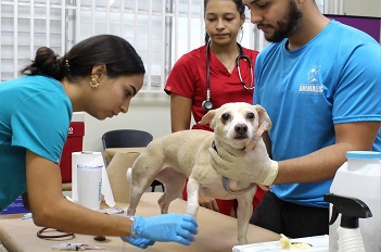 Foto Vacunación de Mascotas en Puerta de Tierra</a></h2>